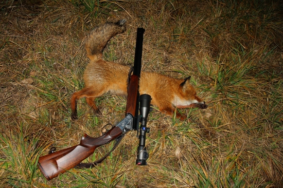 Úspešný štart roku 2014