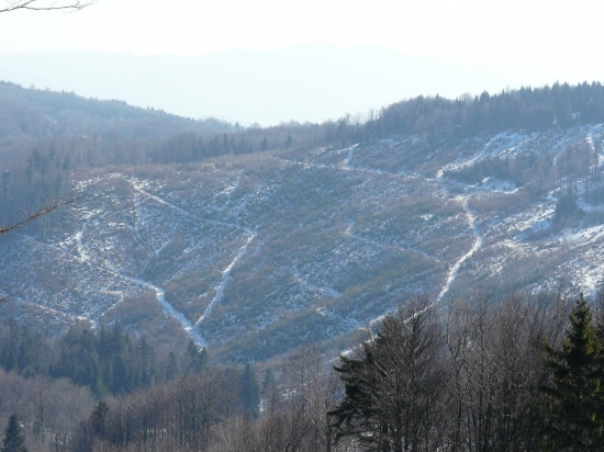 Macková po kalamite