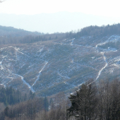 Macková po kalamite