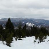 Vtáčnik