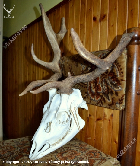 Daněk