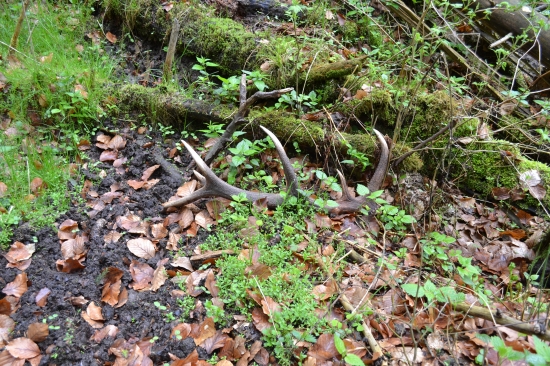 Včerejší procházka