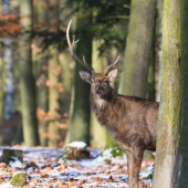 nečekané setkaní....