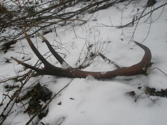 4,85 kg druhy ešte nemam