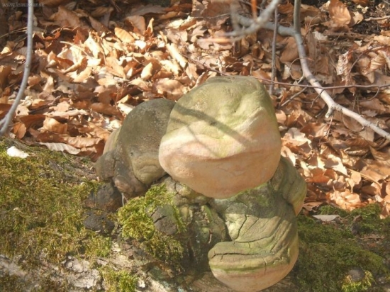 Žeby Rafaelo z Ninja korytnačiek...?:o))