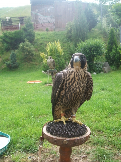 Čo iné si priať........:o))