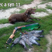 prvá vychádzka na holuby