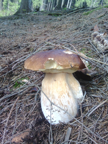 Tak toto je on...môj fešák