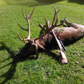 Nezabudnuteľný .....