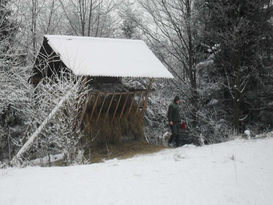 Prikrmovanie a kontrola senníka.
