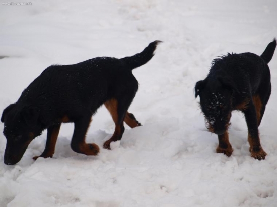 Alan a Astra spod Šomodé