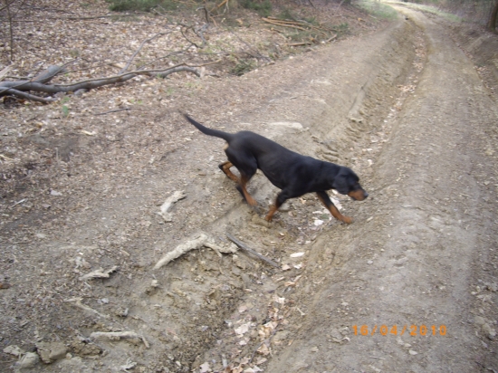 OSIKOV-Slovesky Kopov