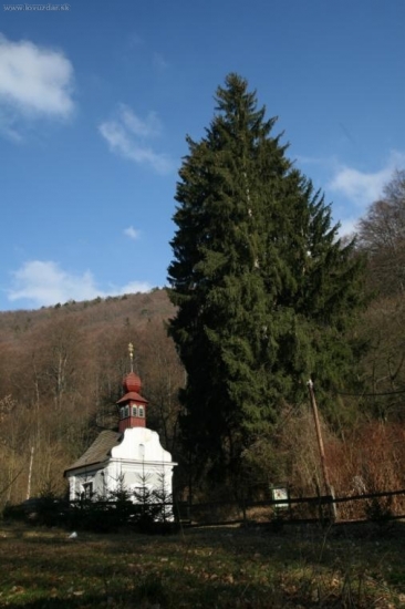 Karpaty