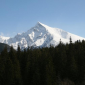 Kriváň