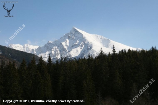 Kriváň