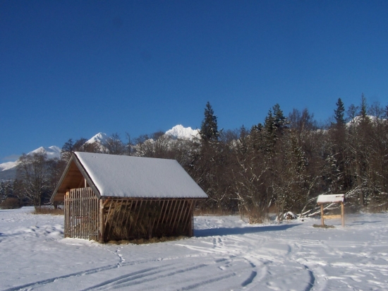 Ešte ho majú dostatok