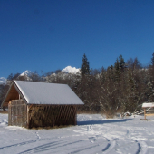 Ešte ho majú dostatok