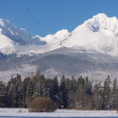 Troška ho zasa pripadlo