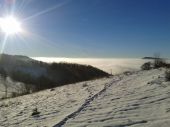 Prochotská dolina v hmle