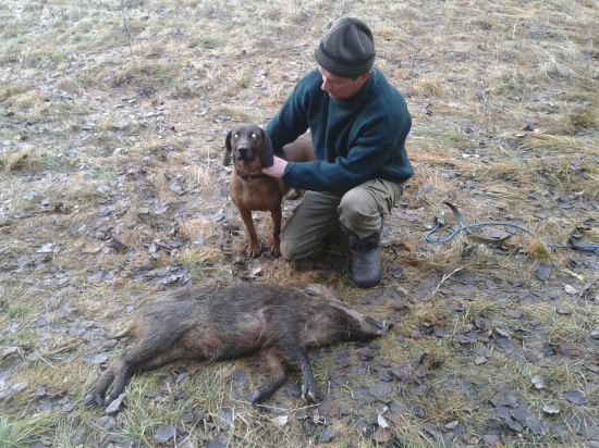 Úspešná dohľadávka.