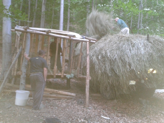 plnenie krmelca kvalitným senom