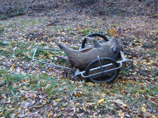 Odvozní prostředek 2k1v.