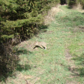 Vpyžamku