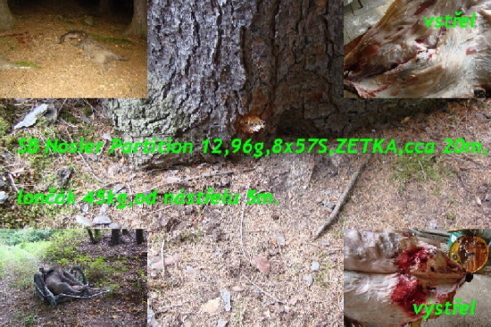 S&B nosler partition12,96g-8x57s