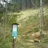 ako sa ťaží drevo v rezervácii