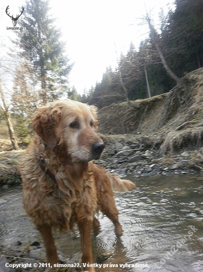 princezna:D