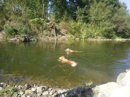 plávanie to je naše:)