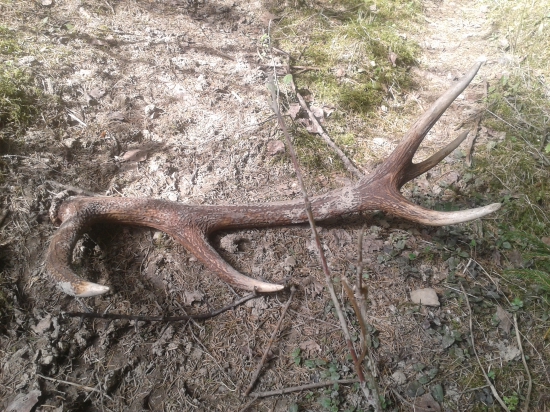 nedeľnajšie šťastie