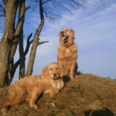 Cindy a Daisy:))