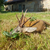 Túžobne očakávaný