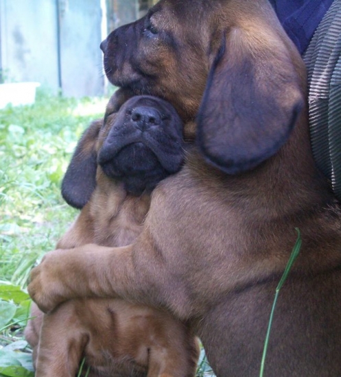 brat a sestra z Ľupčianskej doliny