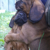 brat a sestra z Ľupčianskej doliny