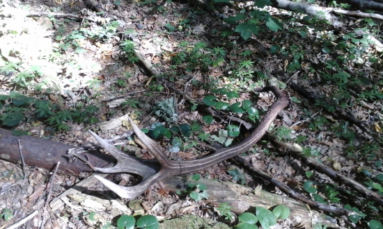 konečne som sa dočkal aj ja ....