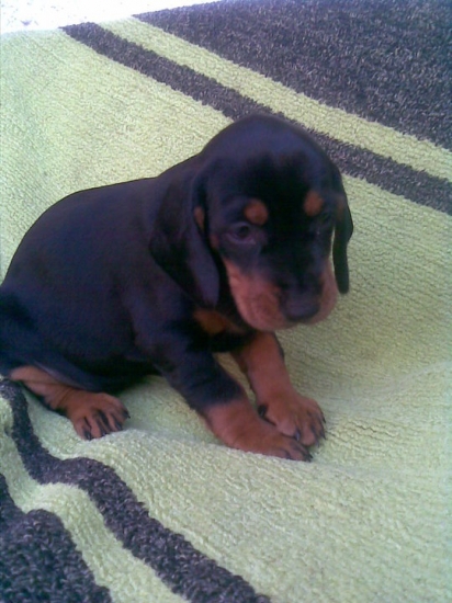 par mesiacov a mozme ist do hory