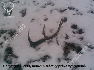 Moj prvy...