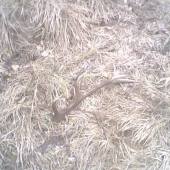 taky maly zhodik na velky piatok