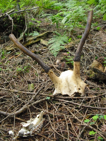 ktovie aký osud ho postihol...