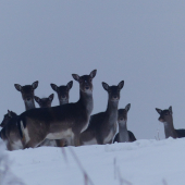všetky oči na mne :D