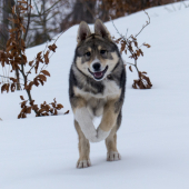 Ivar :-)
