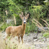 privábený fešák :D