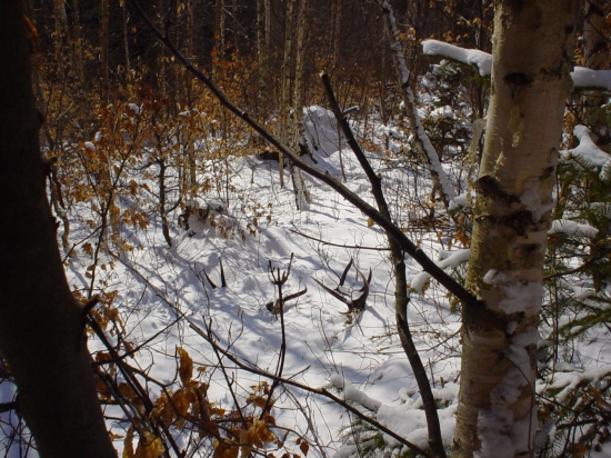 konečne čerstve !!!