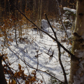 konečne čerstve !!!