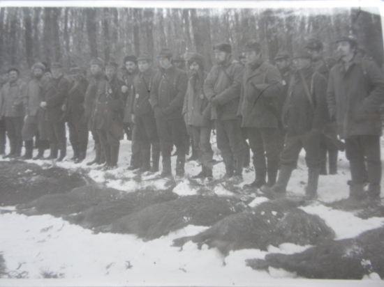 Spoločná na diviačiu...