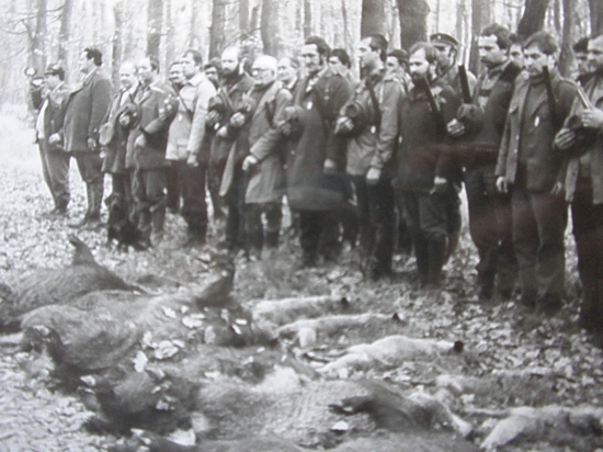 Dalšia uspešna polovačka....