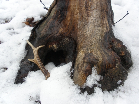 Prekvapenie pri solisku....