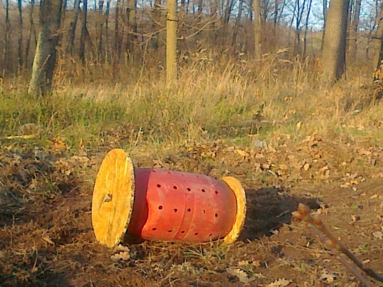 Nech sa aj diviačiky trochu zabavia.....
